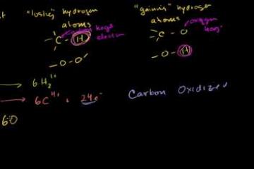 Lecture: Introduction to Oxidation and Reduction in Cellular Respiration