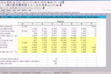 Lecture: Capital Expenditure Analysis 