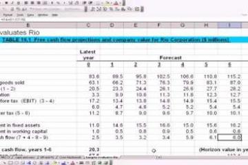Lecture: Business Valuation