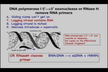 Course: Molecular Biology: Macromolecular Synthesis and Cellular Function