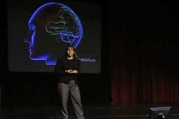 Lecture: Building a Circuit-Diagram for the Brain (Jennifer Raymond)