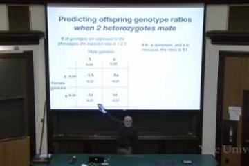 Lecture: Basic Transmission Genetics