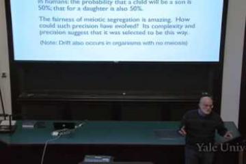 Lecture: Neutral Evolution: Genetic Drift
