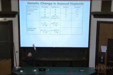 Lecture: How Selection Changes the Genetic Composition of Population