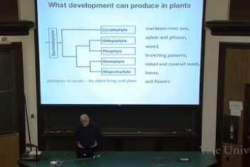 Lecture: The Importance of Development in Evolution