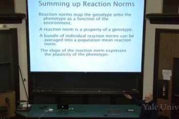 Lecture: The Expression of Variation: Reaction Norms