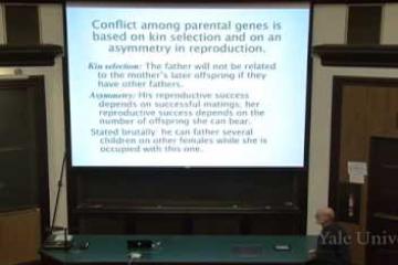 Lecture: Genomic Conflict
