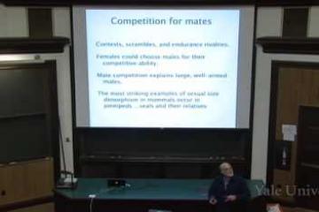 Lecture: Sexual Selection