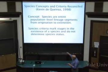 Lecture: Species and Speciation