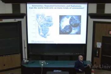 Lecture: The Fossil Record and Life's History