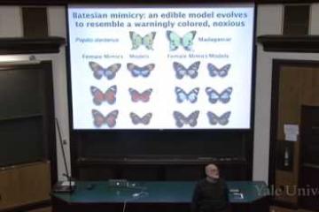 Lecture: Coevolution