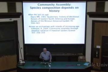 Lecture: Ecological Communities