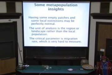 Lecture: Island Biogeography and Invasive Species