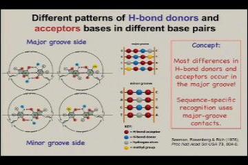 Lecture: Not your grandfathers DNA - Variations in DNA structure 
