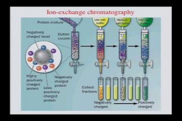 Lecture: Prokaryotic Transcription Apparatus: Part I 