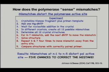 Lecture: The DNA replication fork: collaborate or die 