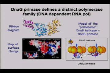 Lecture: Other replication factors: it takes a village 