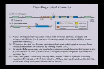 Lecture: Eukaryotic Transcription Apparatus and Methods to Analyze Transcription: Part III 
