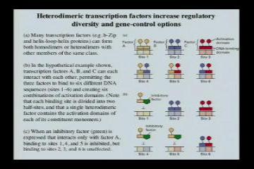 Lecture: Control of Eukaryotic Transcription: Part I 