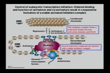 Lecture: Control of Eukaryotic Transcription: Part III 
