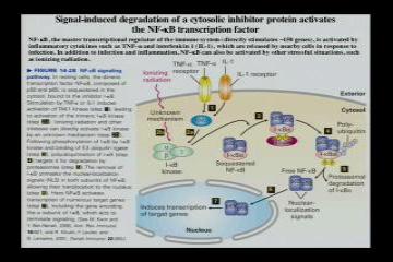 Lecture: RNA Processing: Part I 