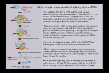 Lecture: RNA Processing: Part III 