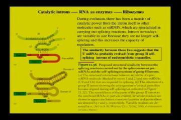 Lecture: Control of Translation: Part II 