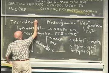 Lecture: Photosynthesis - from light to ATP 