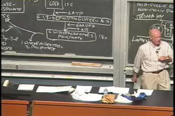 Lecture: Photosynthesis - from CO2 to sugars 