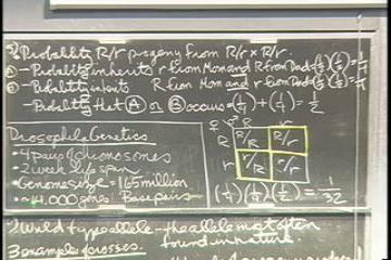 Lecture: How Genes Are Organized on Chromosomes - Linkage, Recombination, Mapping 