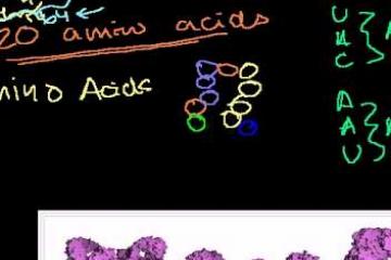 Lecture: DNA: Introduction