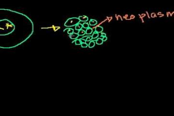 Lecture: Cancer: Broken DNA Replication