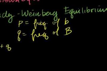 Lecture: Hardy-Weinberg Equilibrium