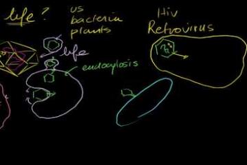Lecture: Viruses Introduction