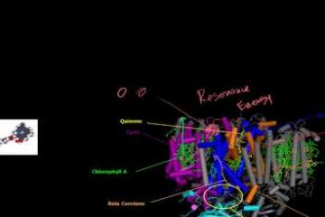 Lecture: Calvin Cycle or the Light-independent Reactions of Photosythesis 