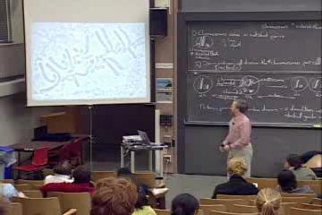 Lecture: Mitosis and Meiosis 