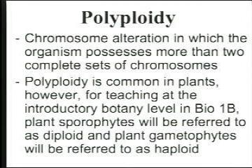 Lecture: Prokaryotes - Cyanobacteria, Archaea - Eukaryotes - Algae, Fungi, Bryophytes 1