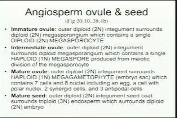 Lecture: Plant Form and Fluid Transport Plant Nutrition, Hormones and Defenses 1 