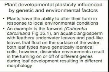 Lecture: Plant Form and Fluid Transport Plant Nutrition, Hormones, and Defenses 3 