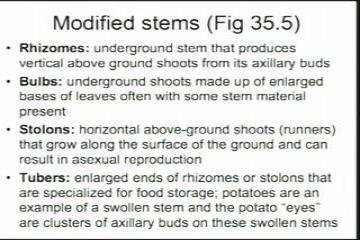 Lecture: Plant Form and Fluid Transport Plant Nutrition, Hormones, and Defenses 4 