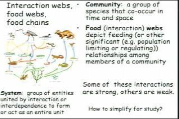 Lecture: Food Webs, Food Chains and Species Interaction Strength 