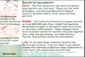 Lecture: Ecosystem Ecology: Primary and Secondary Production 