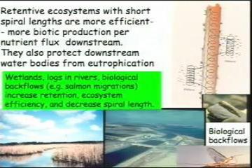 Lecture: Spatial Patterns of Species Richness, Island Biogeography, and the Design of Biodiversity Reserves 