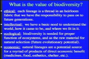 Lecture: The Big Picture and the Big Questions - Biodiversity