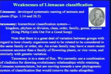 Lecture: Cladistics