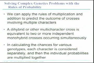 Lecture: Mendelian Genetics, Hardy Weinberg