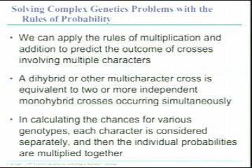 Lecture: Mendelian Genetics, Hardy Weinberg