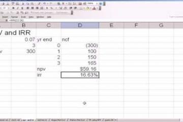 Lecture: Net Present Value 