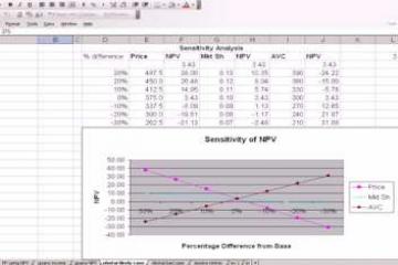 Lecture: Capital Expenditure Risk Analysis 