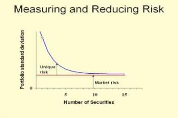 Lecture: Risk and Return